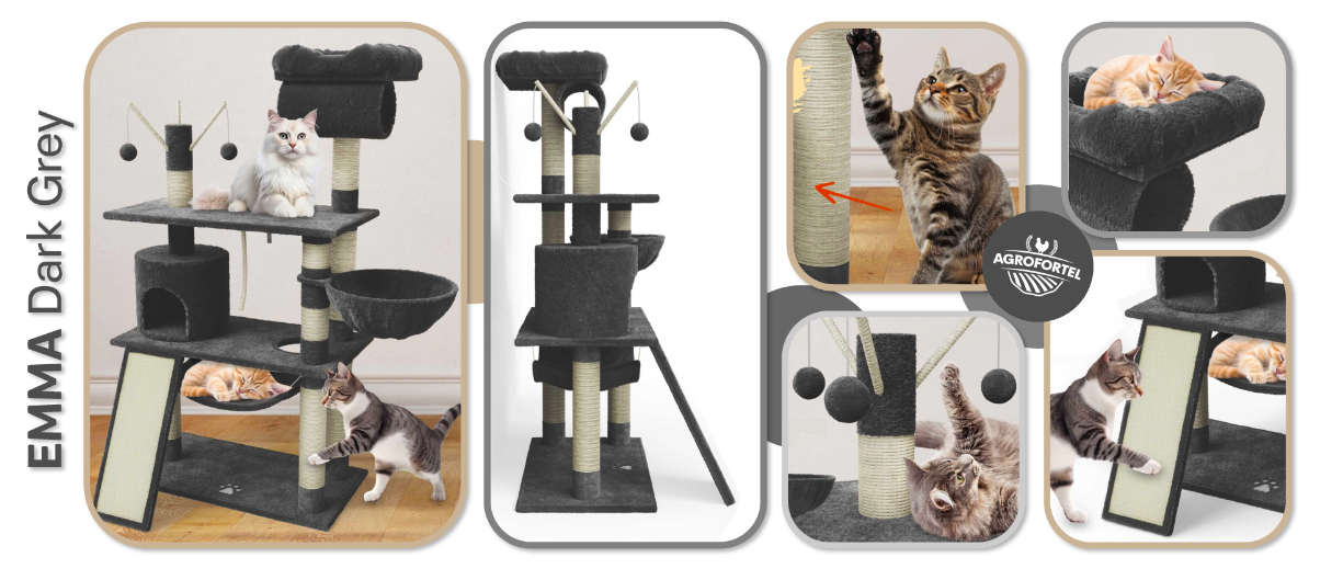 Snímka obrazovky 2026-01-30 o 10.55.21